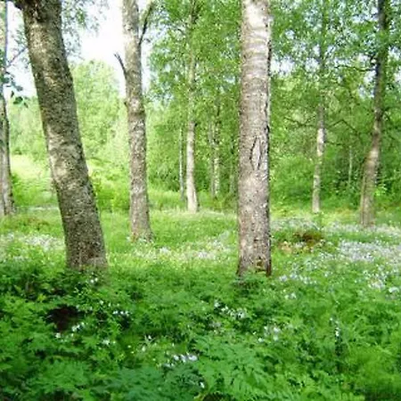 Koivuniemi By Interhome Vakantiehuis Nieminen (Vierema, Northern Savonia)