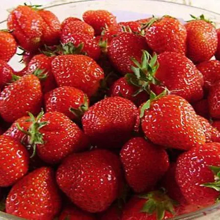 Koivuniemi By Interhome Loma-asunnot *