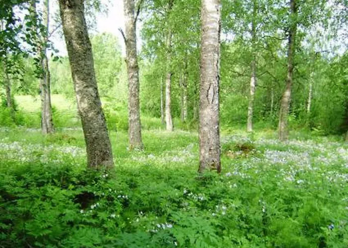 Koivuniemi By Interhome 度假居 Nieminen (Vierema, Northern Savonia)